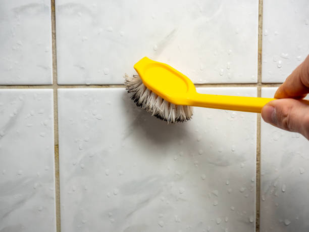 Best Residential Mold Remediation in Oakwood Hls, IL