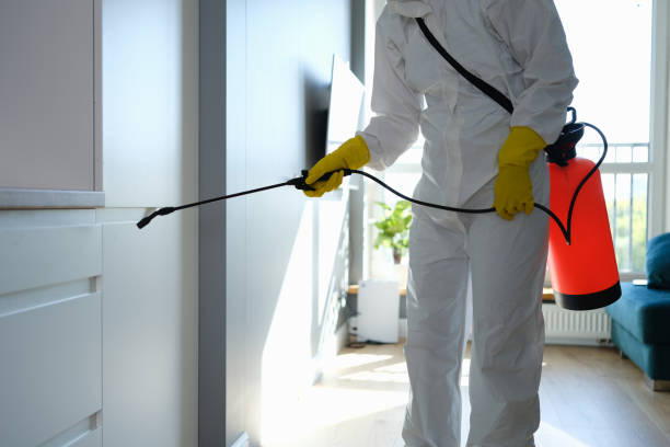 Best Preventive Mold Services in Oakwood Hls, IL