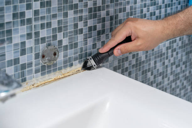 Best Insurance-Related Mold Remediation in Oakwood Hls, IL